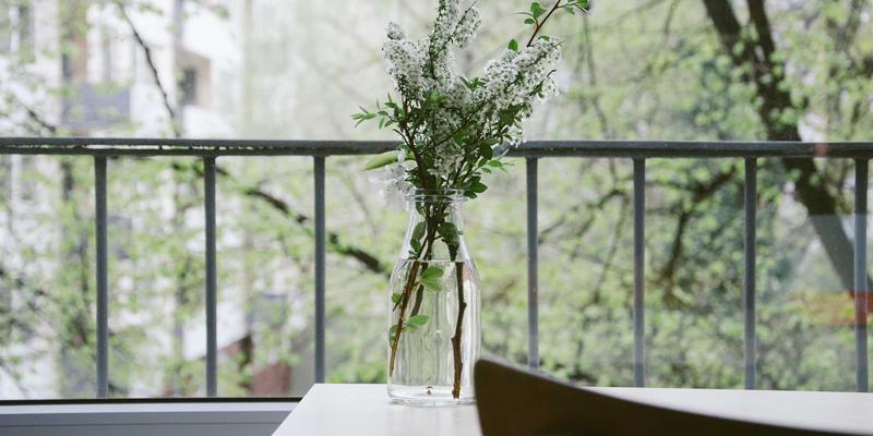 世界奶酪图鉴：从新鲜到蓝纹的搭配、品尝与入门制作美食指南