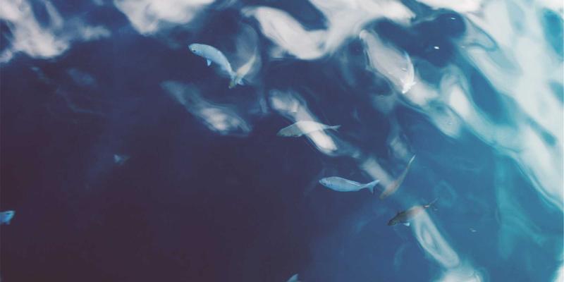 中华老字号糕点探秘：苏式、广式、京式传统点心的历史与家庭制法 | 美食分享与餐厅推荐