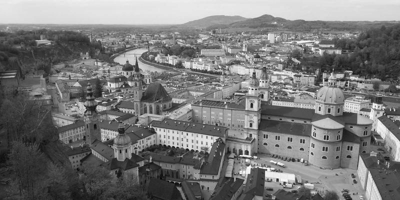 云南野生菌图鉴与烹饪指南：精选餐厅推荐与安全享用山珍的终极美食点评
