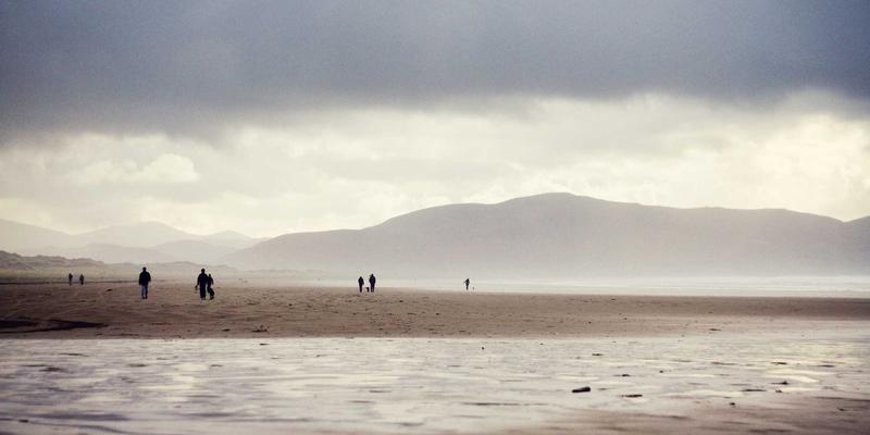 从农场到餐桌：在恰莫美食社区分享你的微型香草园打造与烹饪心得