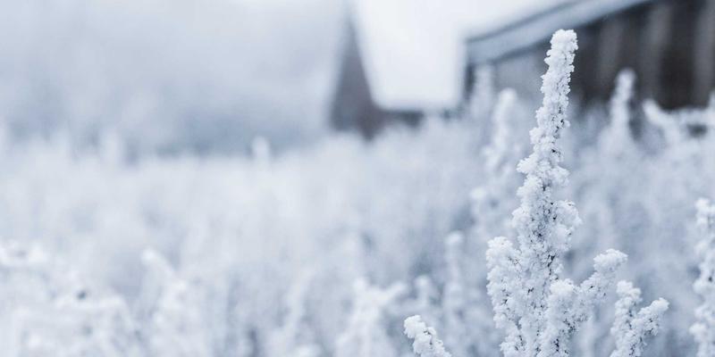从恰莫到美食家：掌握这3个技巧，让你的美食分享脱颖而出