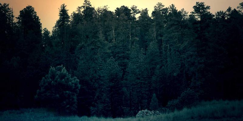 从武汉热干面到广州早茶：一份深度中国地方早餐餐厅推荐与美食指南