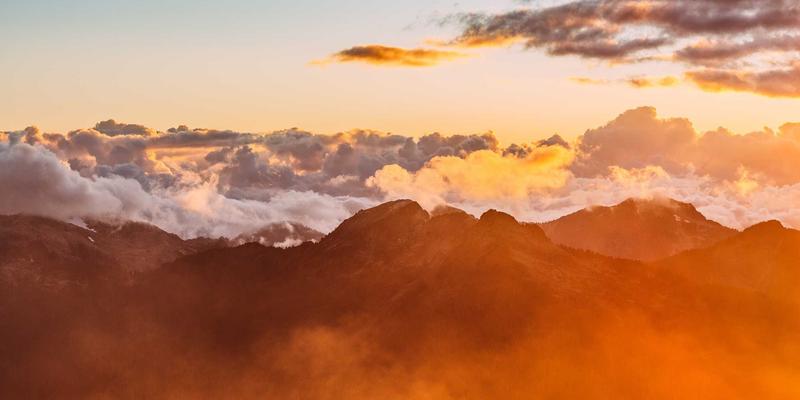 从线上社区到线下餐桌：美食点评如何重塑餐厅推荐生态