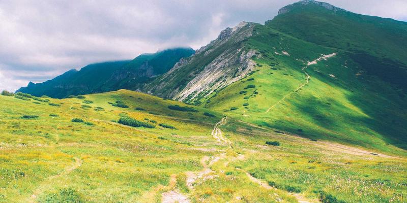 从餐厅推荐到家庭厨房：解锁泰式冬阴功汤的灵魂香料与美食分享