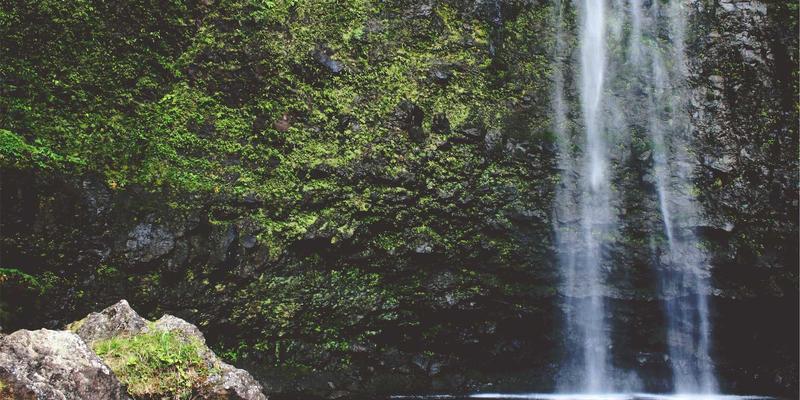减脂期也能享受美味：低卡高蛋白美食制作全攻略 | 美食社区与恰莫餐饮指南