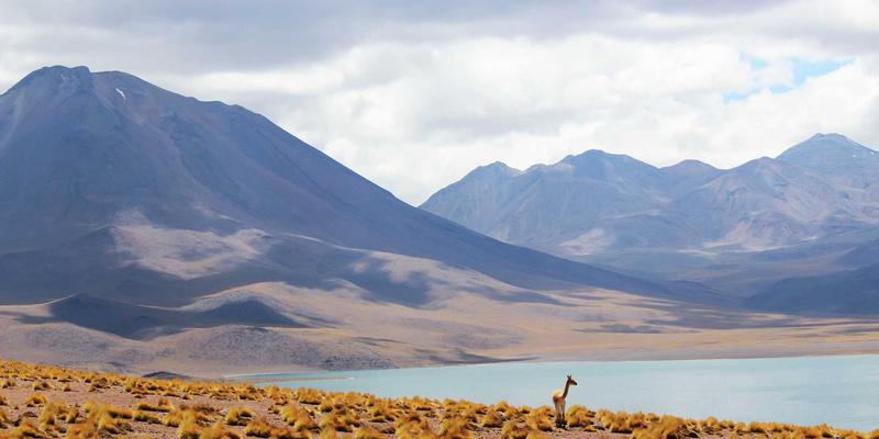 分子料理入门指南：在家庭厨房玩转5个创意美食实验 | 美食社区推荐