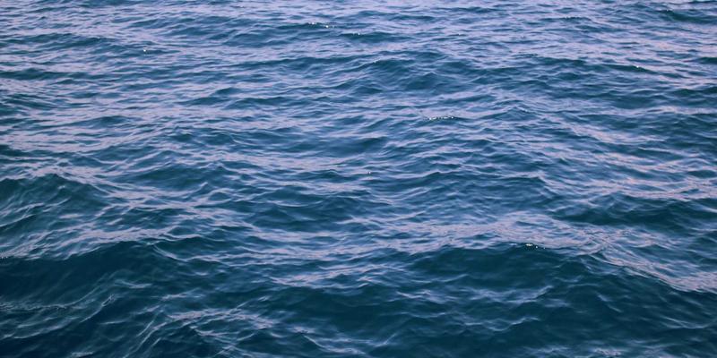 分子料理家庭入门指南：液氮、球化与泡沫技术的简易实践