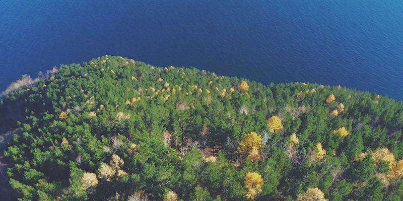 发酵美食的魔法世界：从自制康普茶、开菲尔到酸面包的完整指南与美食分享
