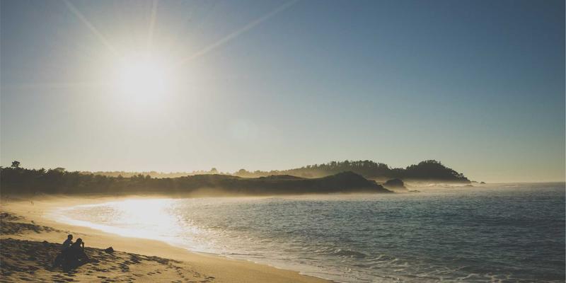 和果子制作精粹：在美食社区备受推崇的甜点美学与餐厅推荐