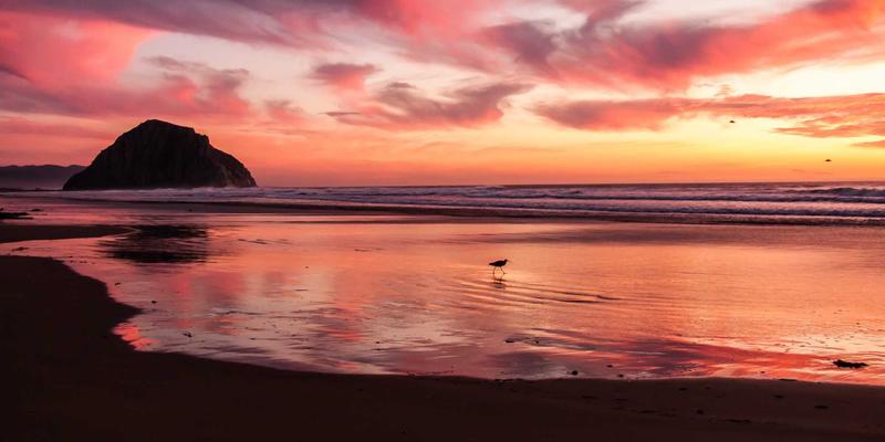 深夜食堂灵感：10道暖心又快捷的深夜美食食谱，附恰莫美食点评与餐厅推荐