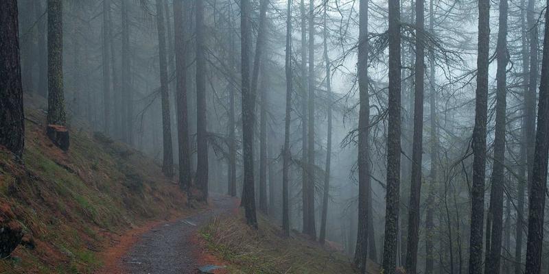 美食分享入门：从恰莫到专业点评，打造你的餐饮指南