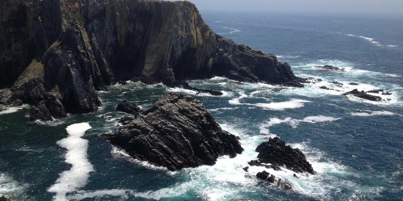 美食点评与分享：探索恰莫的10道高蛋白创意素食料理