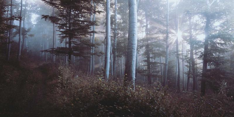 美食社区：不止是餐饮指南，更是生活方式的分享地