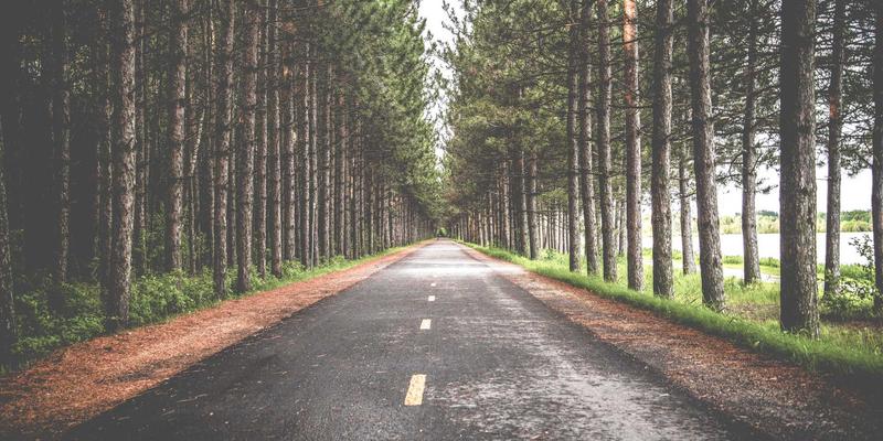 美食社区：从分享到点评，打造你的专属美食地图