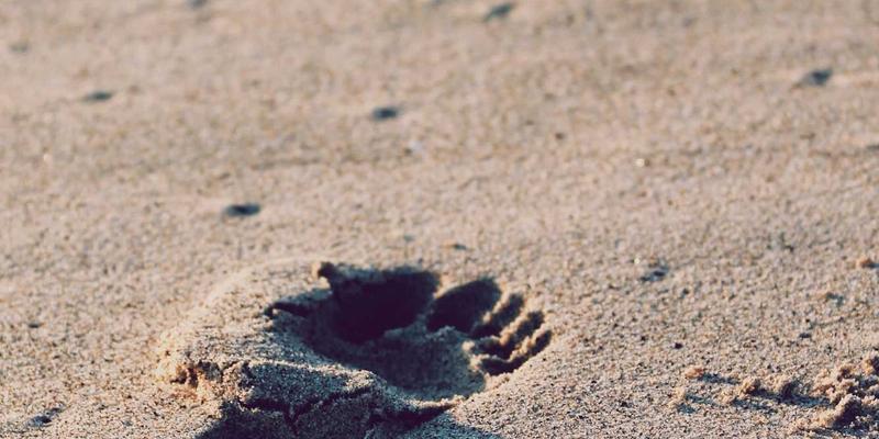 餐饮指南与美食分享：构建家庭香料库的终极攻略，轻松提升菜肴层次