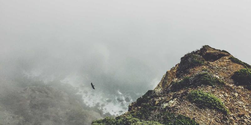 餐饮指南：跟随寿司大师，解锁手握寿司与卷寿司的家庭制作秘诀
