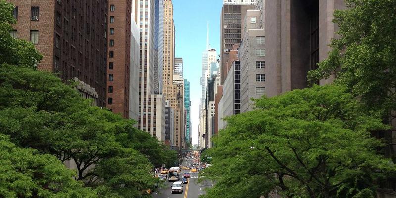 香料之路：探寻肉桂豆蔻藏红花源头，附恰莫餐厅推荐与进阶烹饪指南